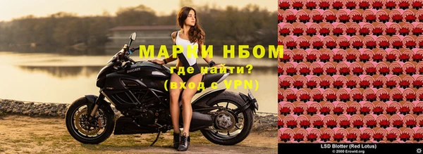 ГАЛЛЮЦИНОГЕННЫЕ ГРИБЫ Абдулино