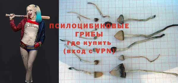 spice Абинск