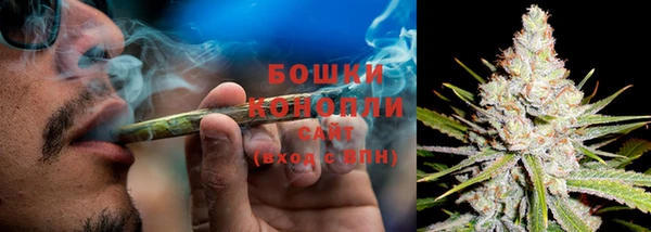 ГАЛЛЮЦИНОГЕННЫЕ ГРИБЫ Абдулино